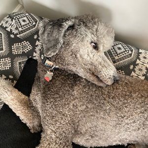 Meet your Posher, Nick